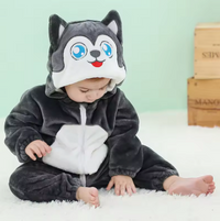 Dog Husky